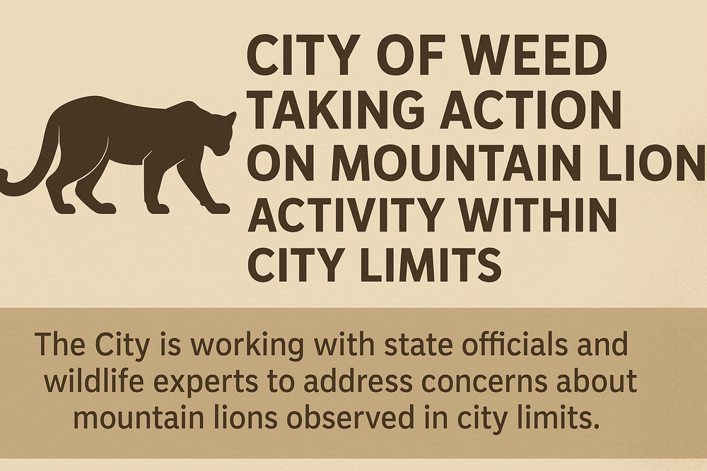 City of Weed Taking Action on Mountain Lion Activity Within City Limits