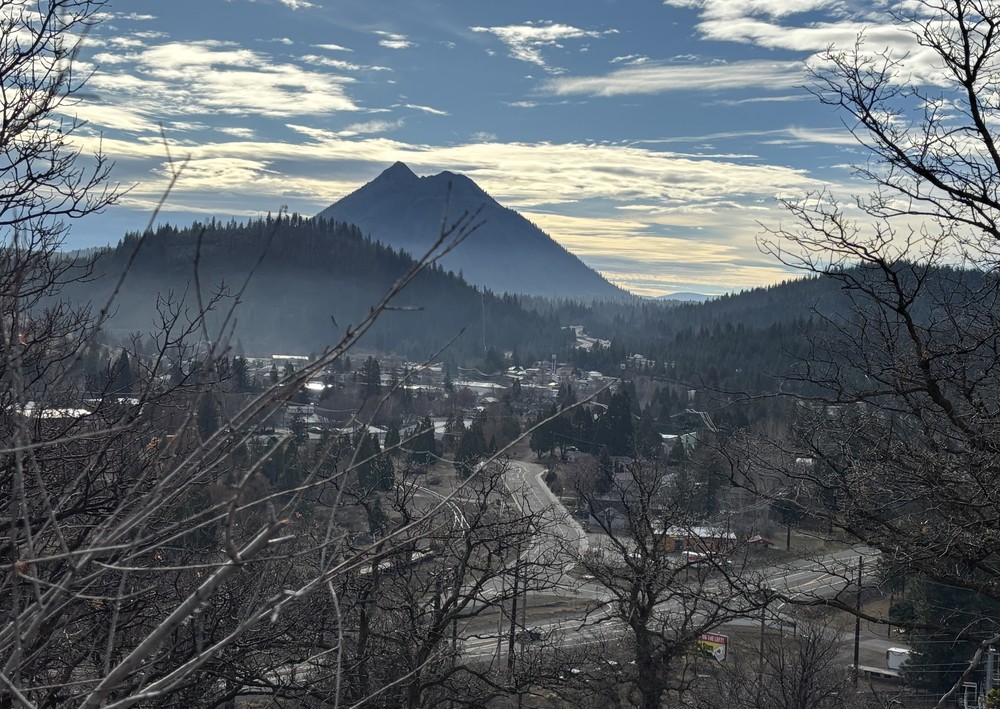 Picture of weed from the side of the mountain