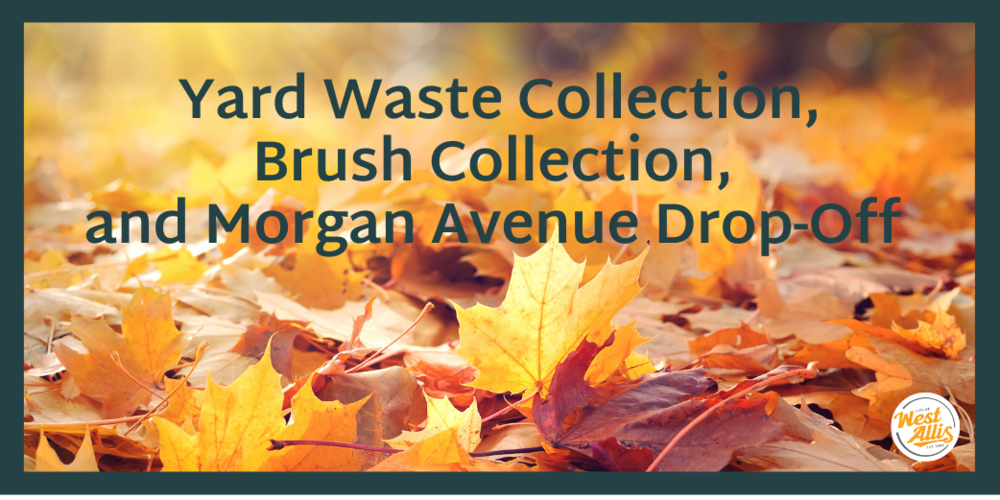 A photo of fall leaves. Text reads "yard waste collection, brush collection, and Morgan Avenue Drop-Off