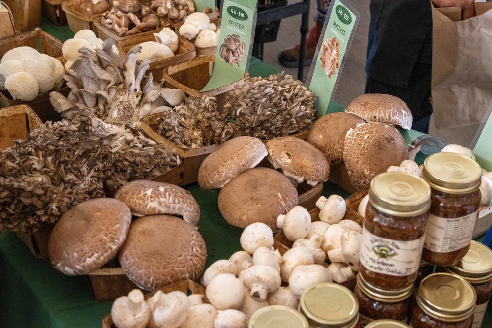 A variety of mushrooms on a table at the farmers market