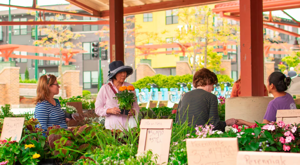 Four shoppers at the West Allis Farmers Market
