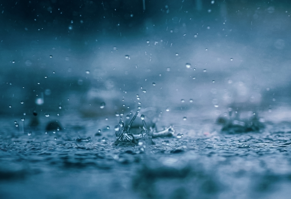 A photo of raindrops