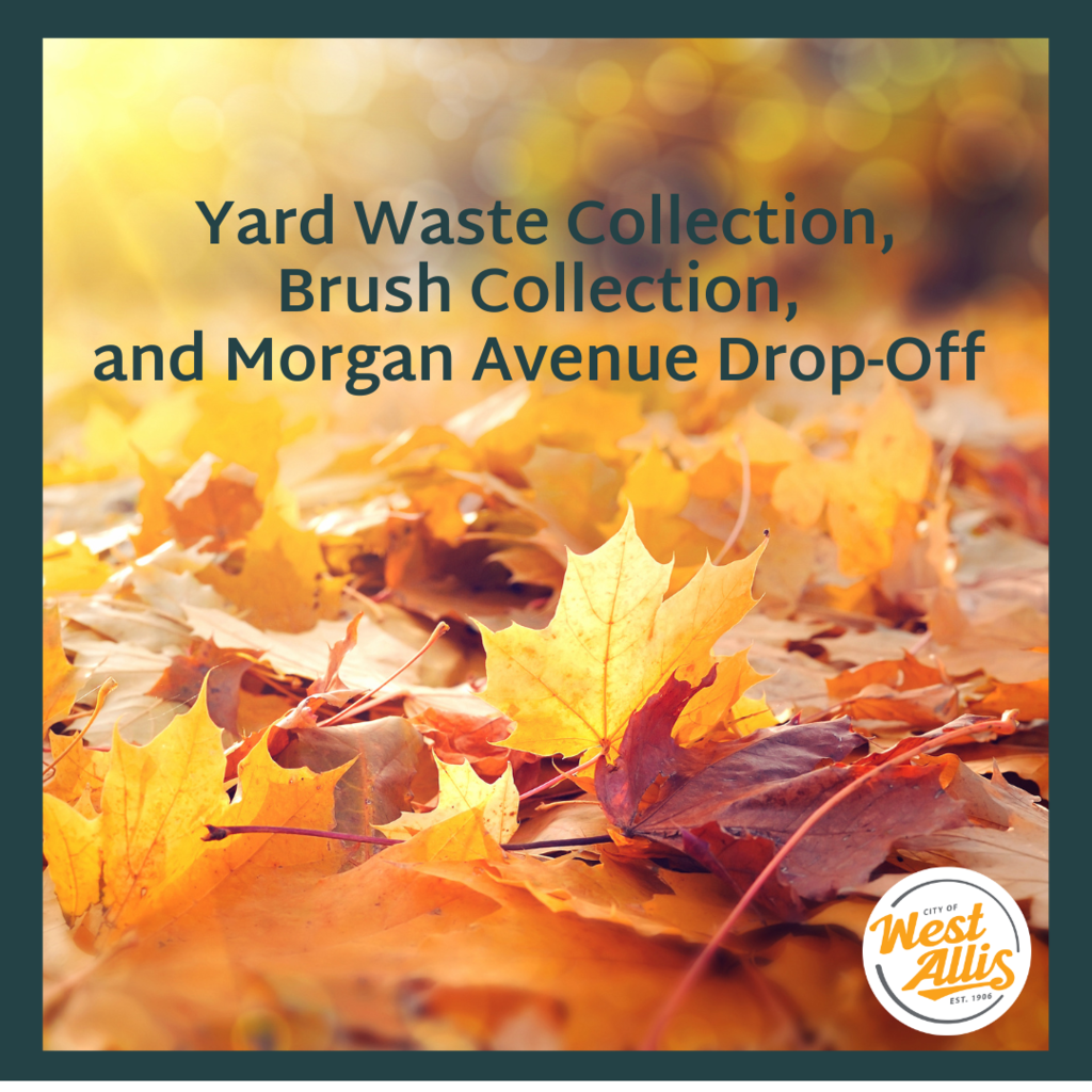 A photo of fall leaves. Text reads "yard waste collection, brush collection, and Morgan Avenue drop off"