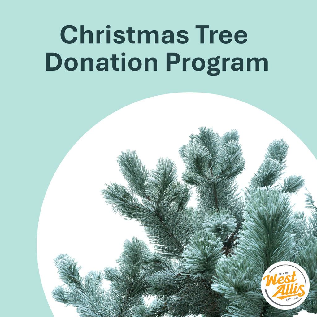 A photo of a few branches of an evergreen tree. Text reads "Christmas Tree Donation Program"