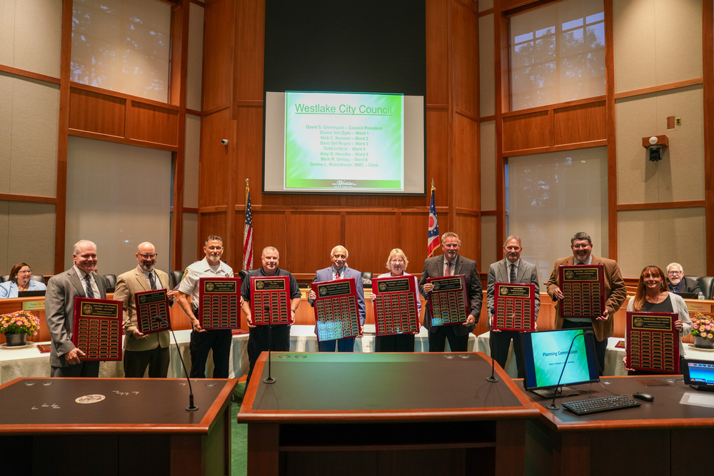 Plaques Recognition