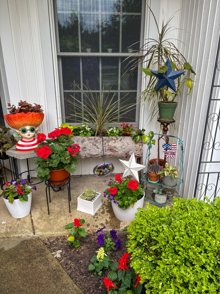 Yard