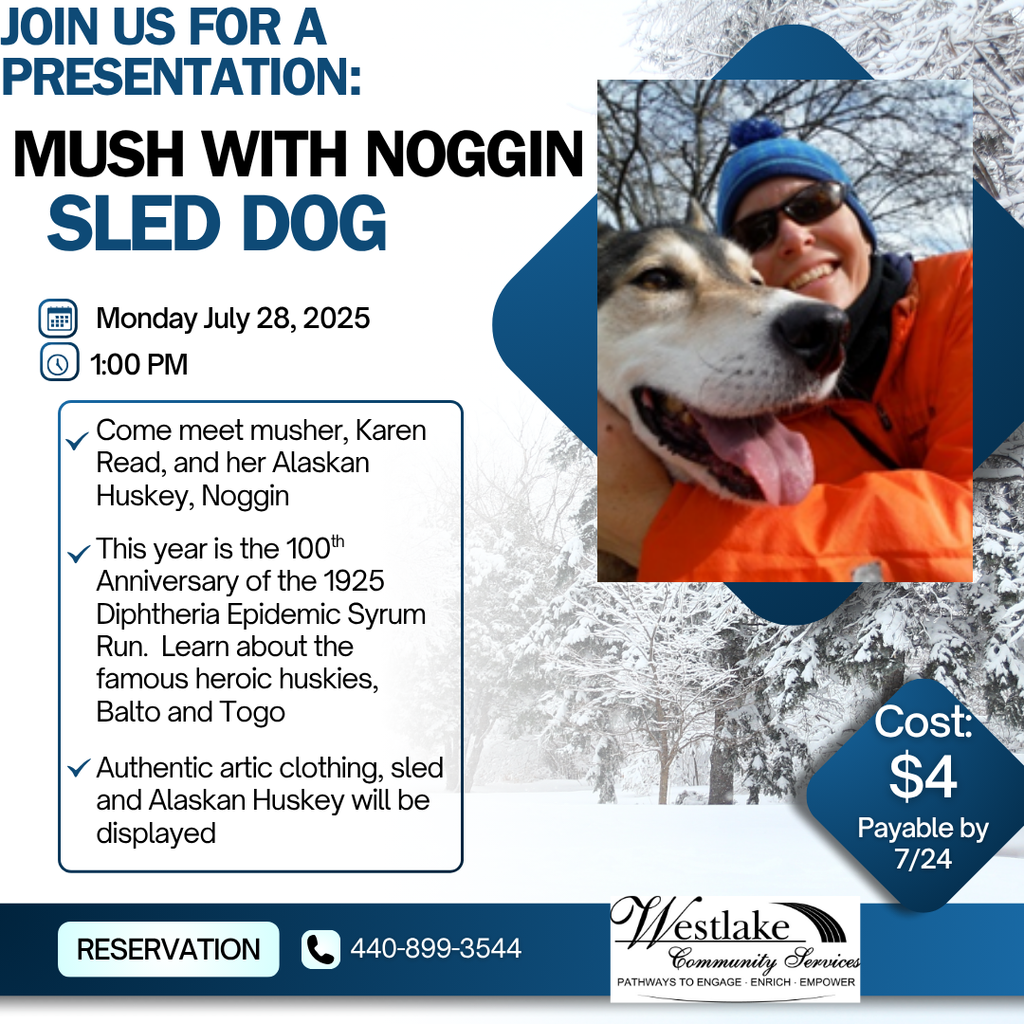noggin 7-28