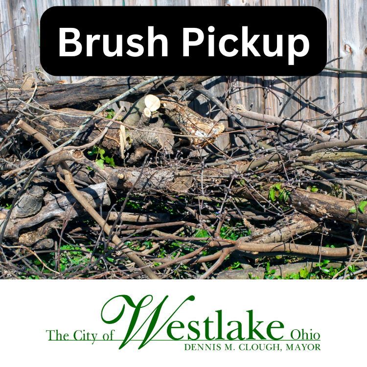 Brush Pickup