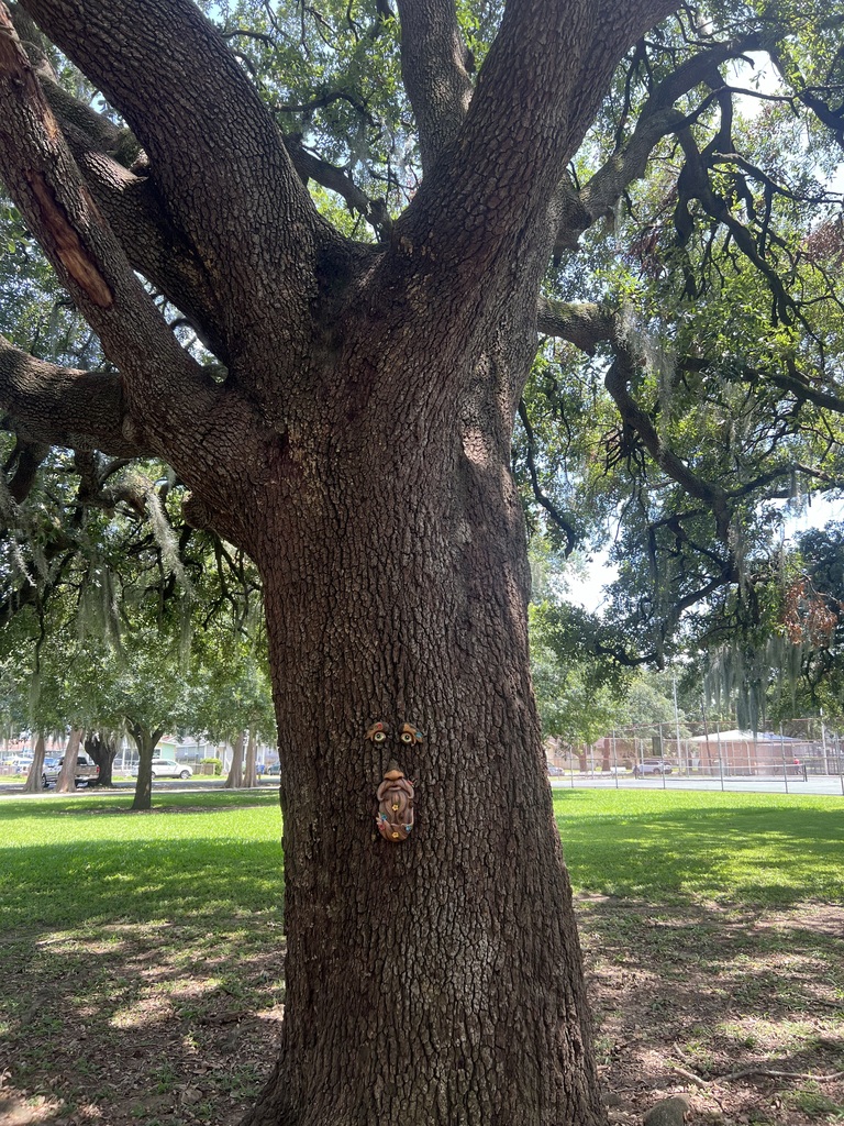 tree
