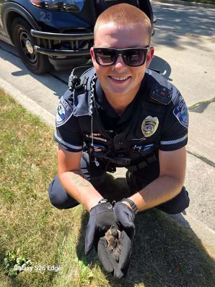 Whitewater PD rescuing the ducklings inside a storm drain!