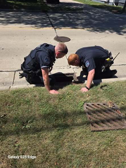 Whitewater PD rescuing the ducklings inside a storm drain!