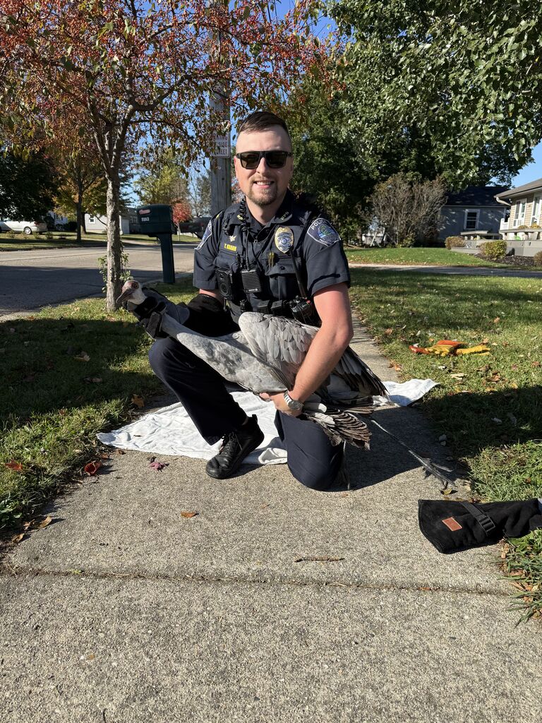 Lt. Krahn saving a Sandhill Crane and getting it safely to a wildlife hospital.