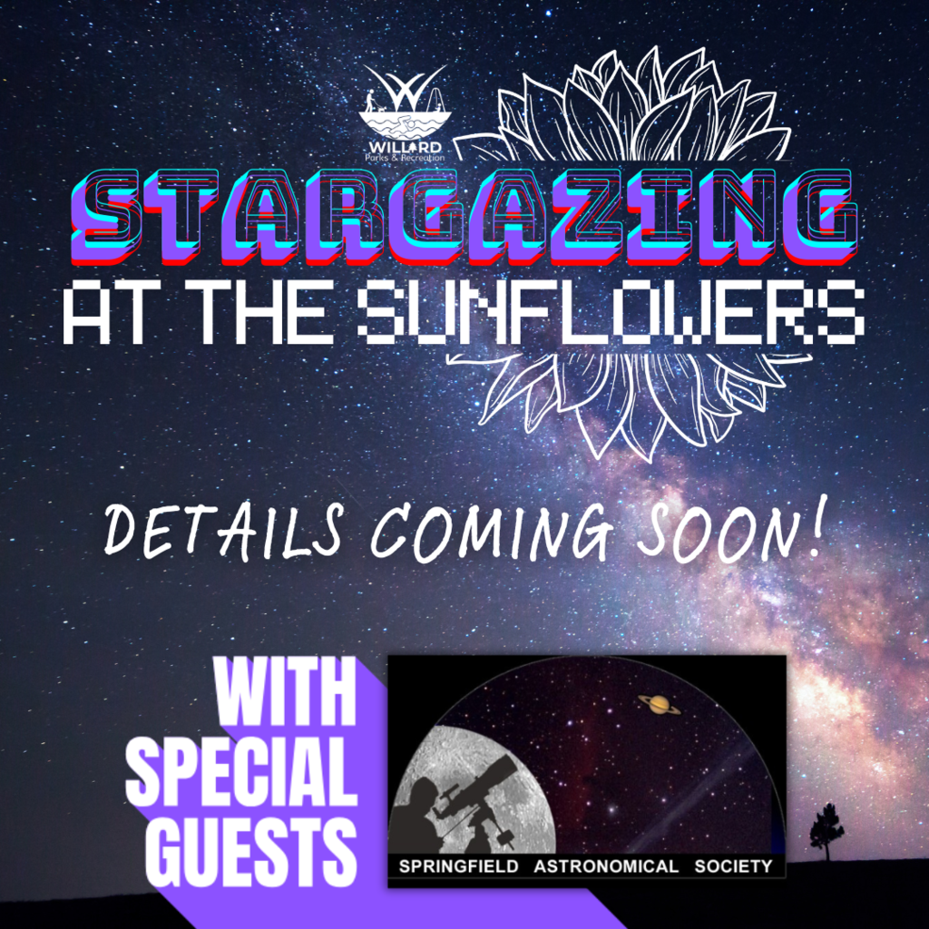 stargazing at the sunflowers in september