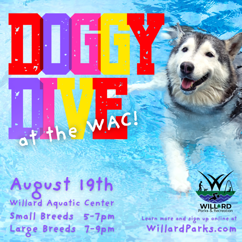 doggy dive august 19th
