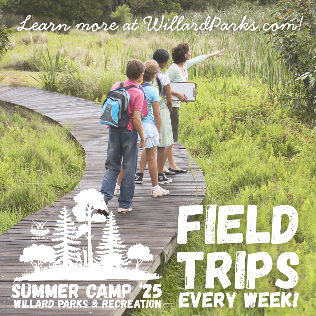 summer camp field trips every week