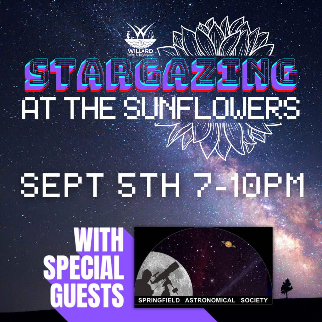 stargazing at the sunflowers