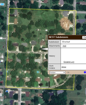 Silverleaf: Jeb, JFK, Barwick