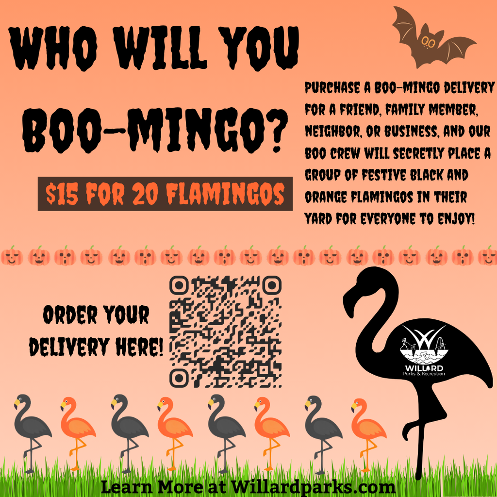 BOO-MINGO $15 for 20 Flamingos