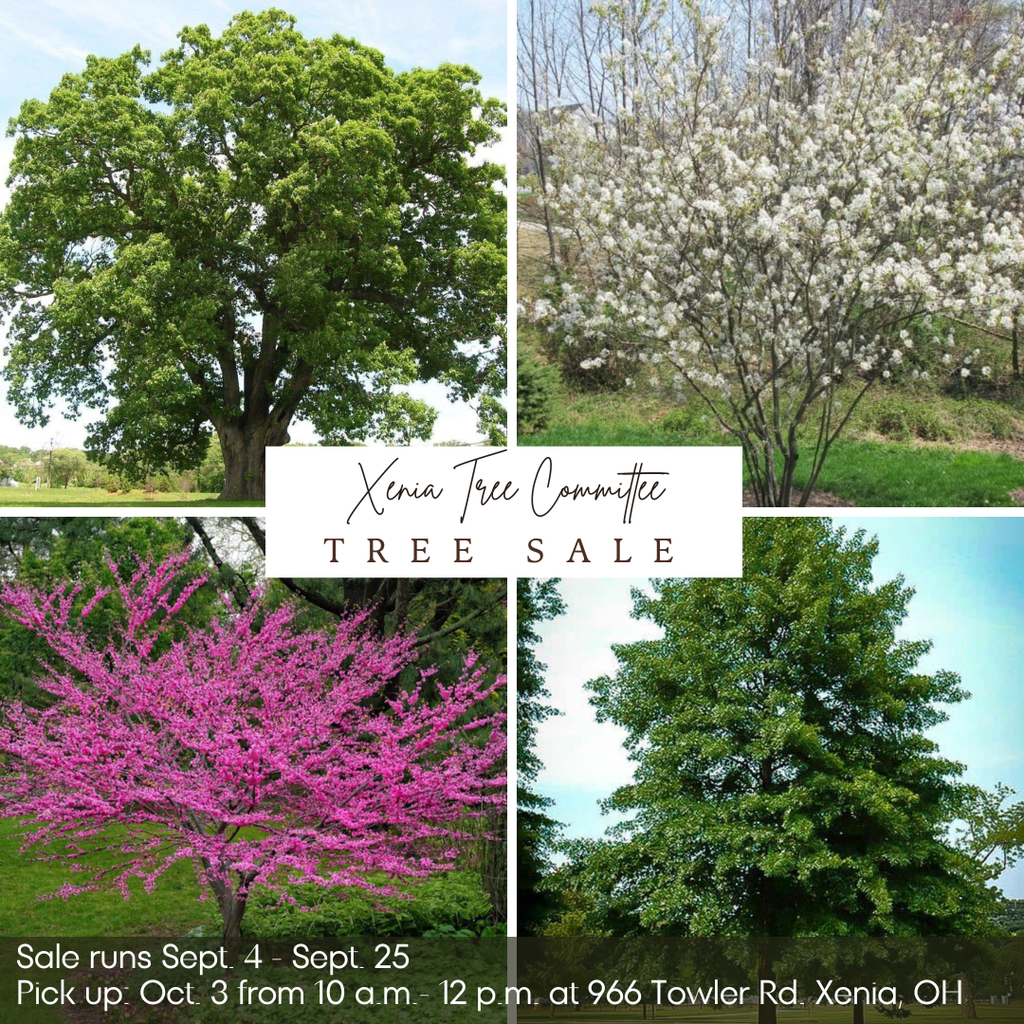 2026 Tree Sale