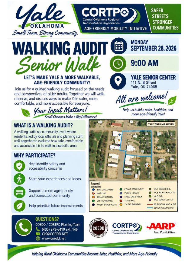 Walking Audit - Senior Walk