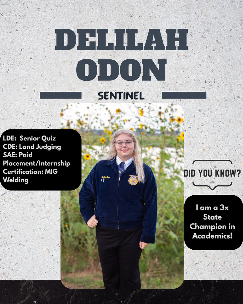 Delilah About ME
