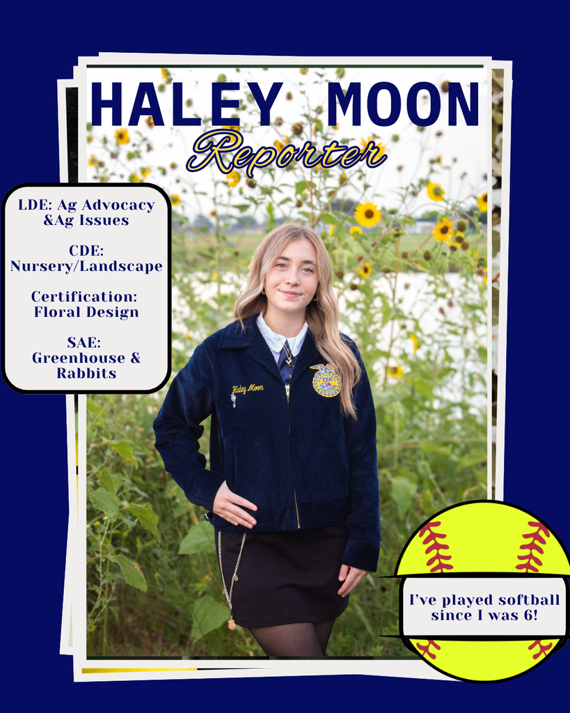 Haley About ME