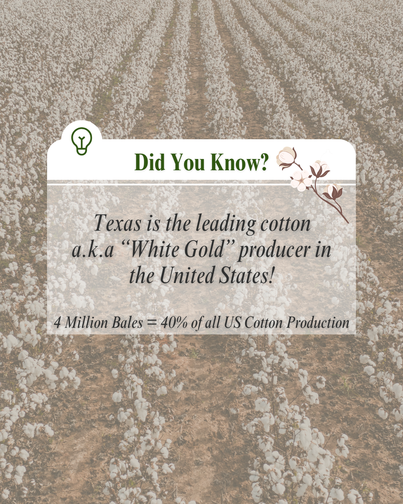 Cotton
