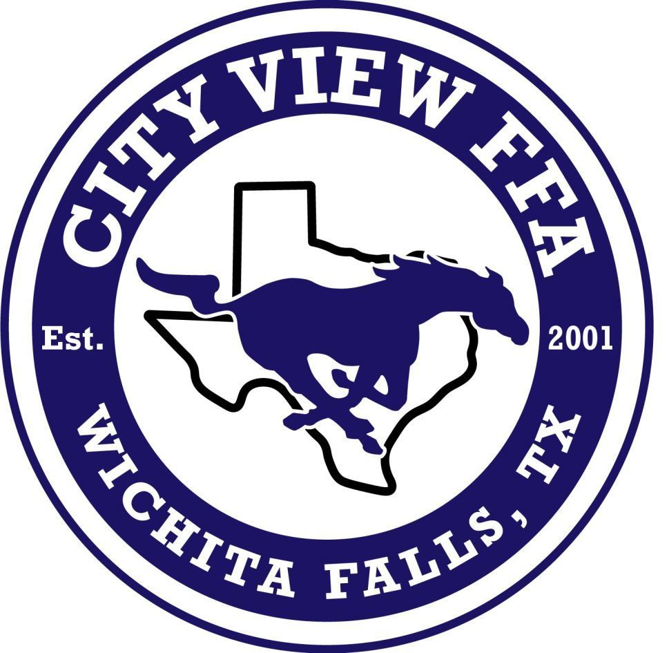 CV FFA Logo