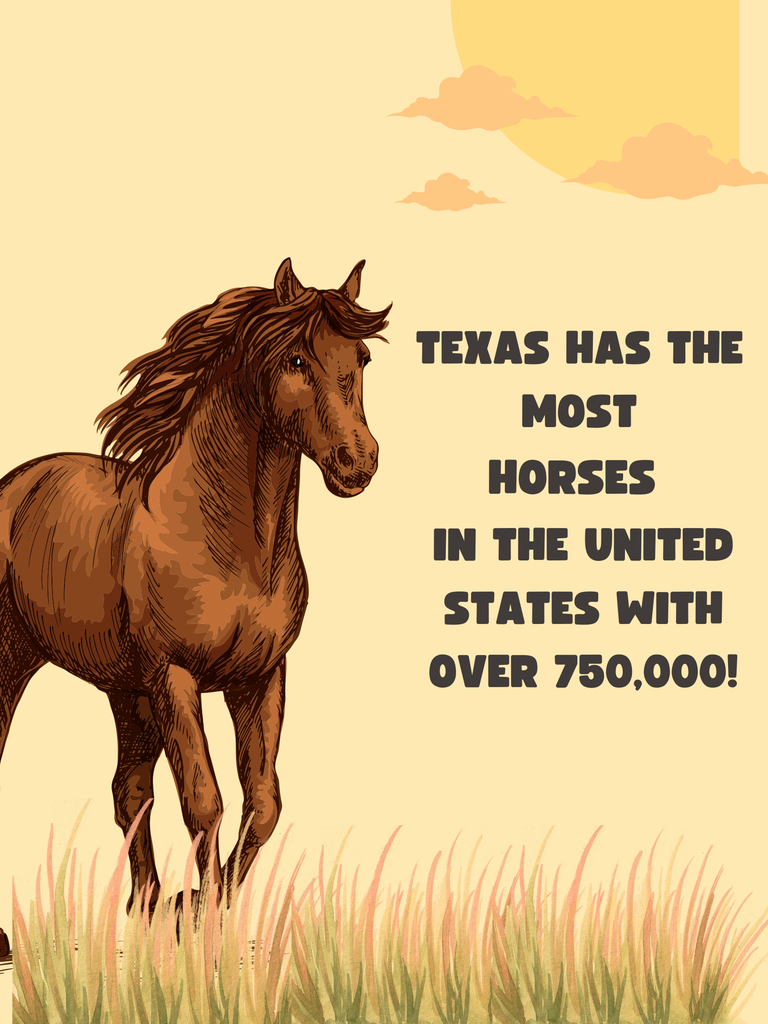 horse