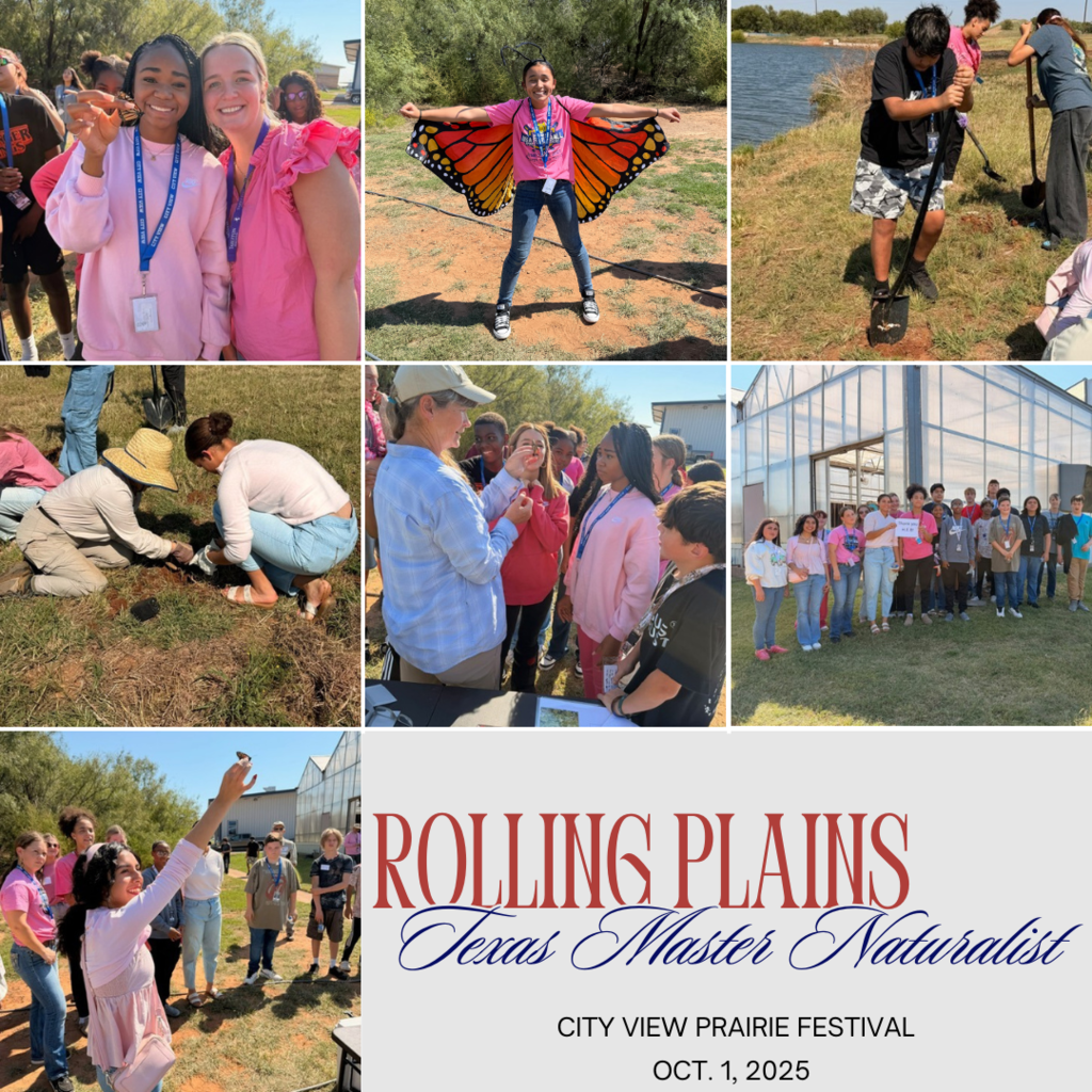 Festival