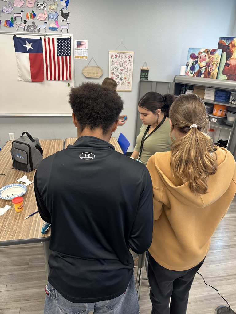 Veterinary Medicine students put their anatomy knowledge to the test today by sculpting animals from play-doh and labeling them using correct directional terminology.