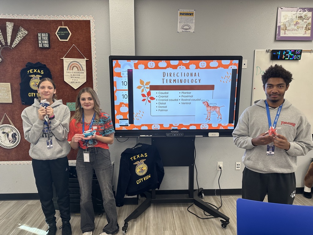 Veterinary Medicine students put their anatomy knowledge to the test today by sculpting animals from play-doh and labeling them using correct directional terminology.