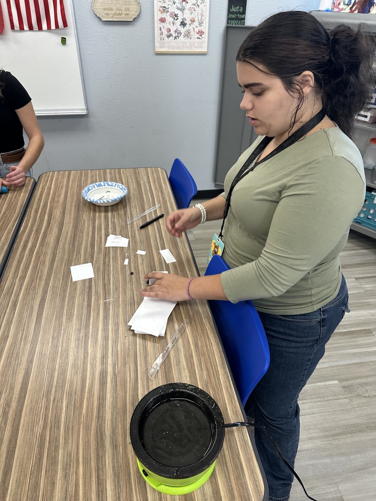 Veterinary Medicine students put their anatomy knowledge to the test today by sculpting animals from play-doh and labeling them using correct directional terminology.