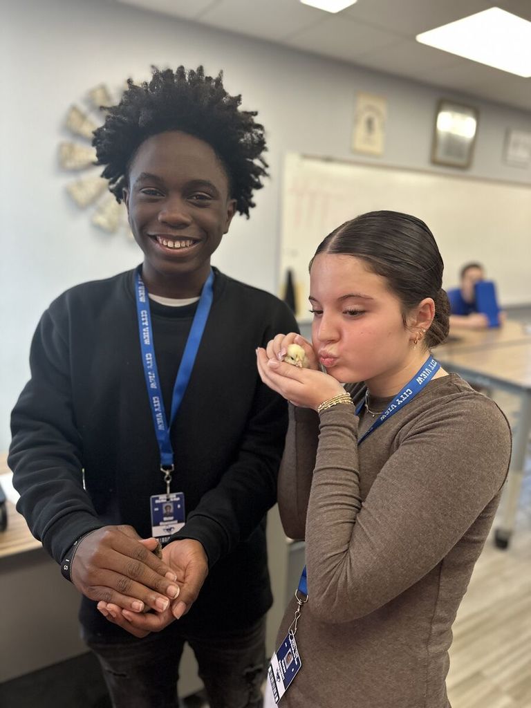 Our Principles of Ag students had a fun day putting their poultry knowledge to the test! After a lively review game, the winning team in each class earned the chance to name one of our chicks.