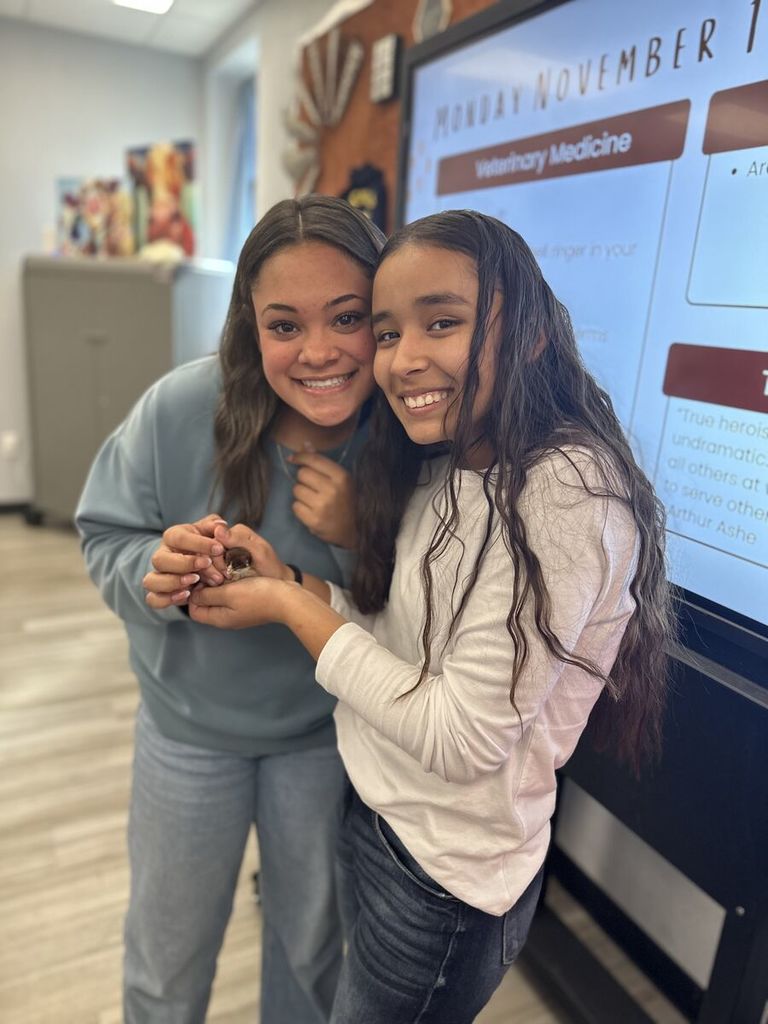 Our Principles of Ag students had a fun day putting their poultry knowledge to the test! After a lively review game, the winning team in each class earned the chance to name one of our chicks.