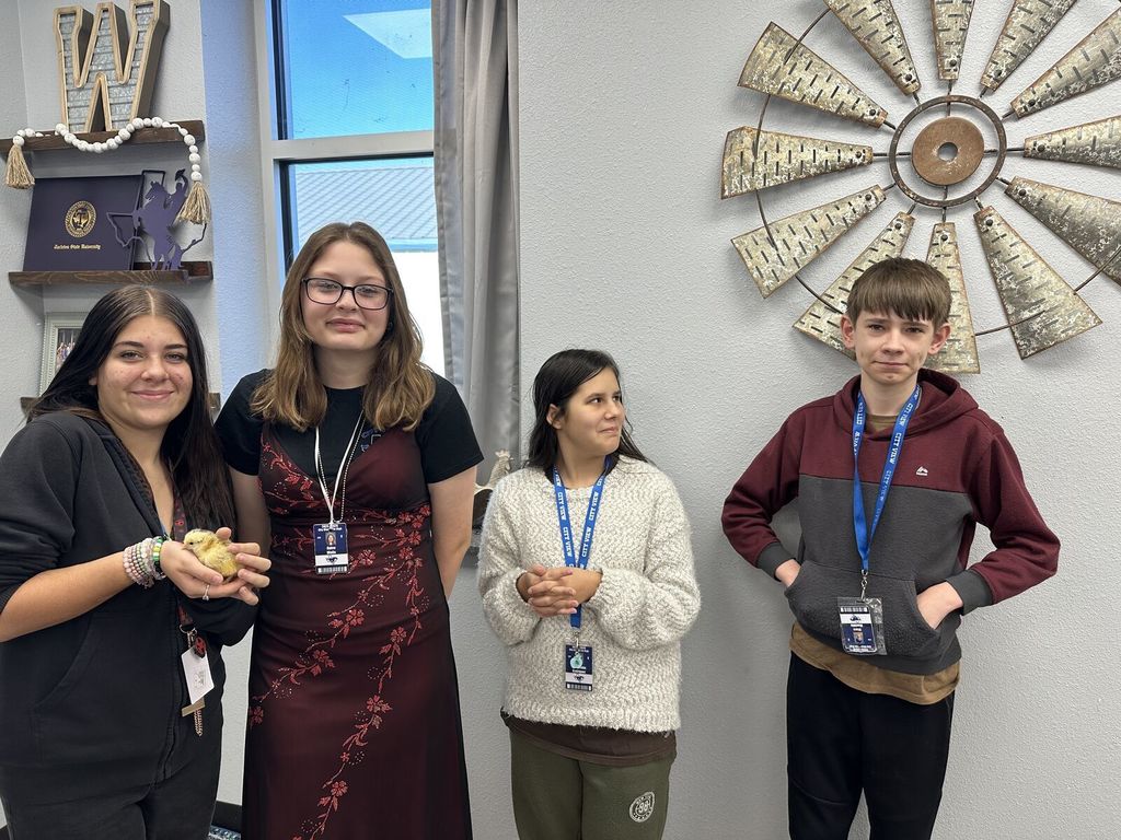 Our Principles of Ag students had a fun day putting their poultry knowledge to the test! After a lively review game, the winning team in each class earned the chance to name one of our chicks.