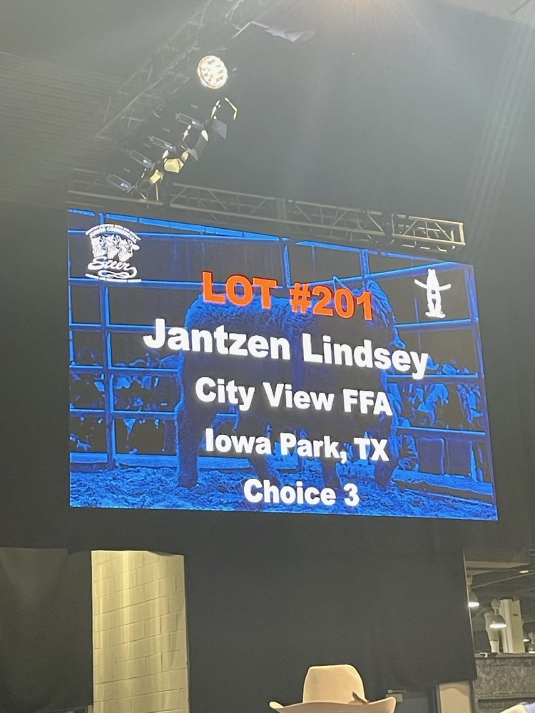 Jantzen Lot 201