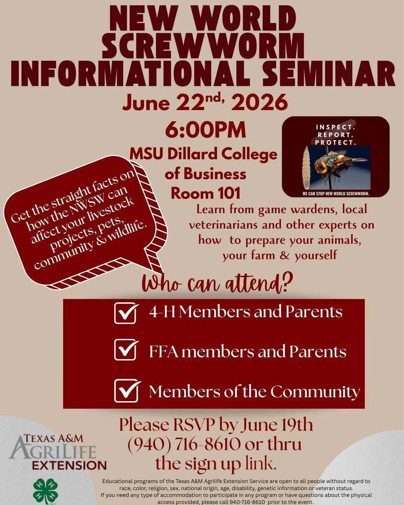 NWSM Seminar
