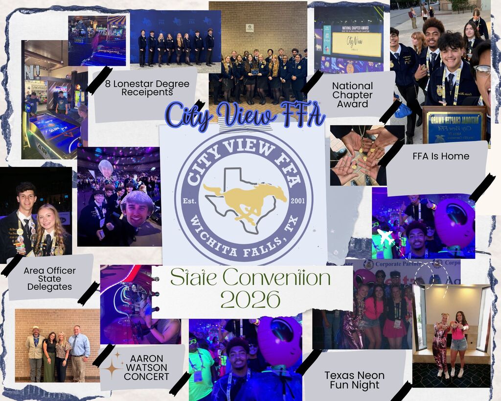 State Convention Story