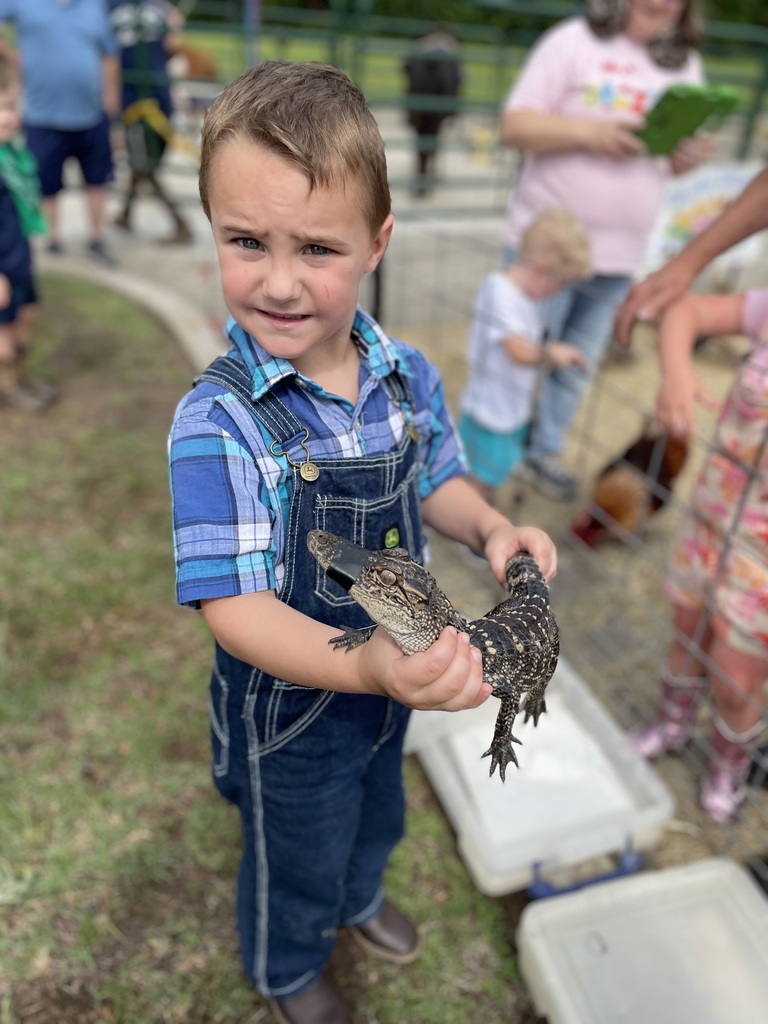 boy with alligator