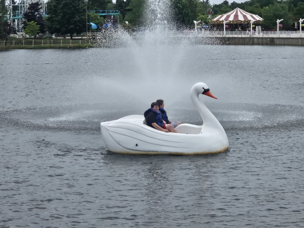 Some relax time in the swan pond at Michigan's Adventure.