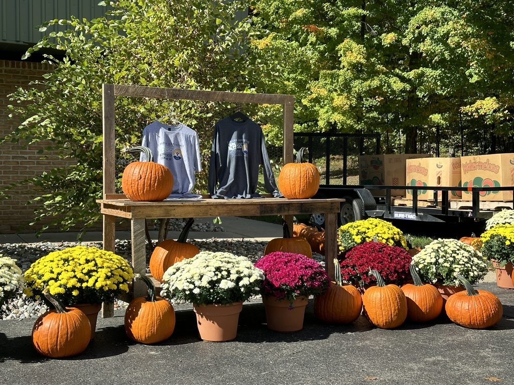 Pumpkins and Mums sale.