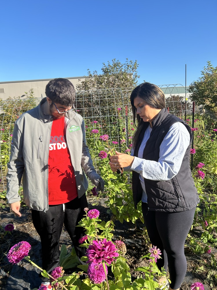 Verna’s flower garden