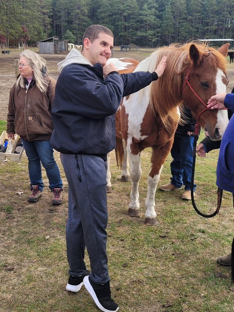 Upclose with the horses!