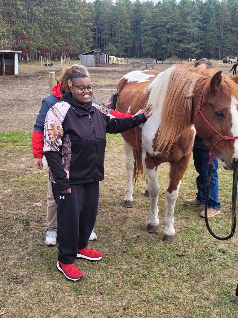 Enjoying the Horses!
