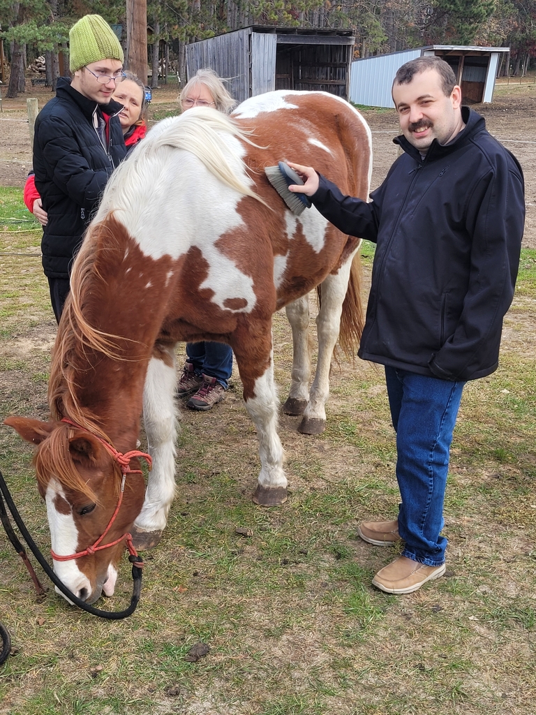 Grooming the horses.