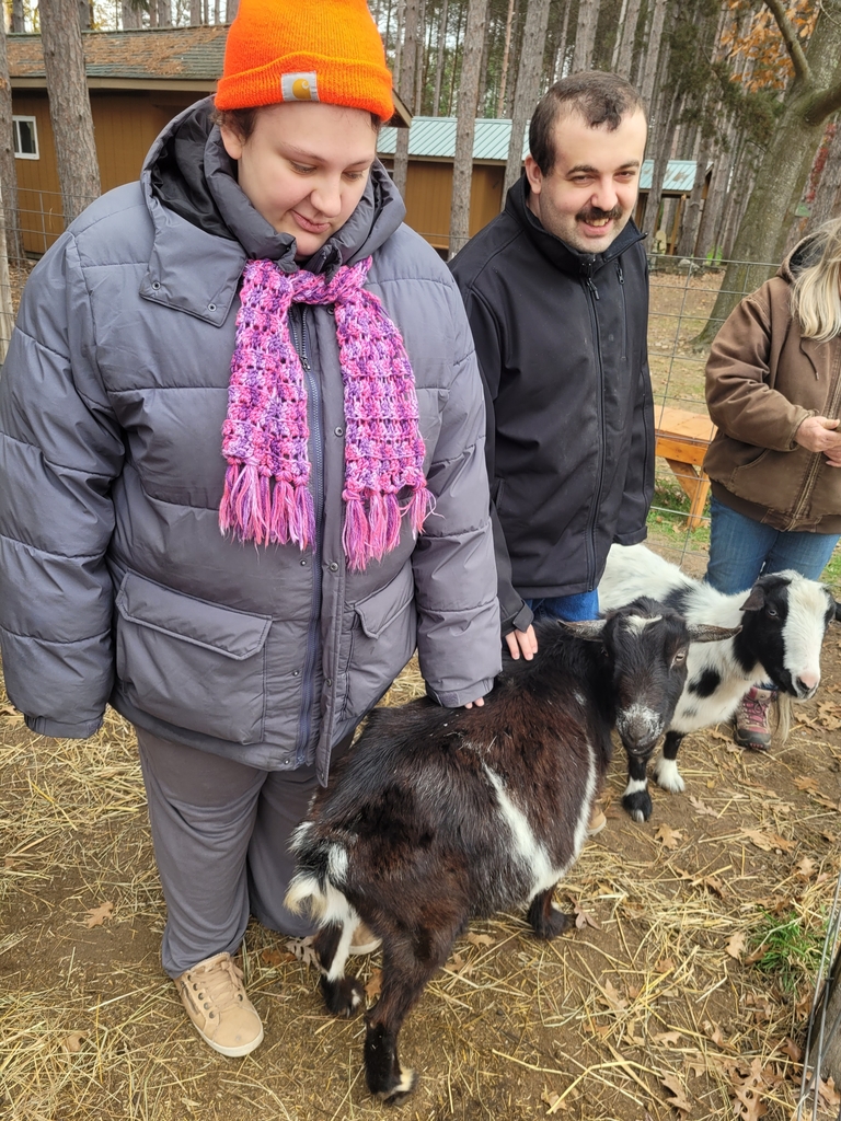 Hopewell Ranch goats.