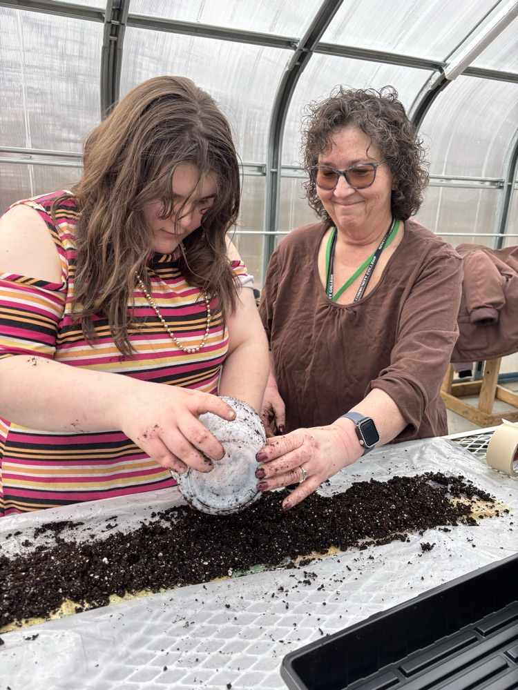 planting