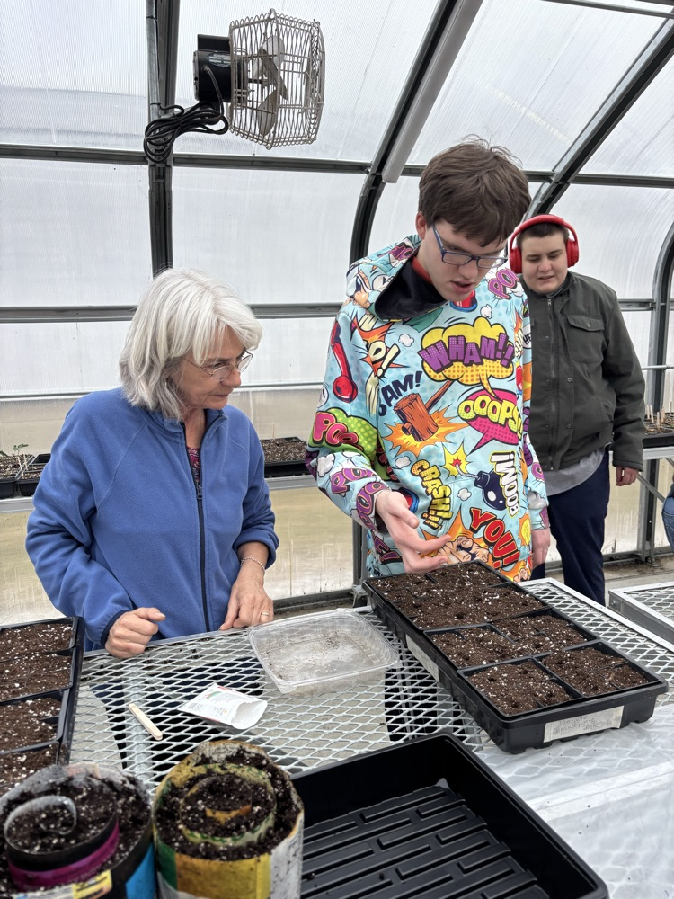 planting