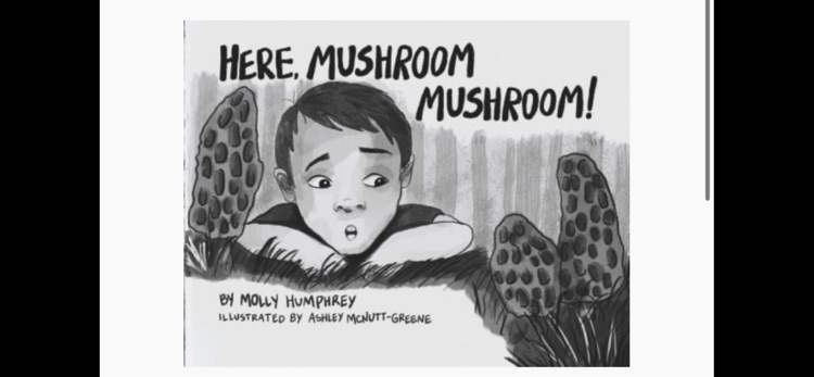 Here, Mushroom Mushroom! Book